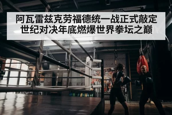 boxer training gym