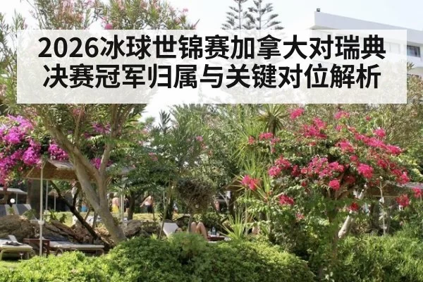 2026冰球世锦赛加拿大对瑞典决赛冠军归属与关键对位解析